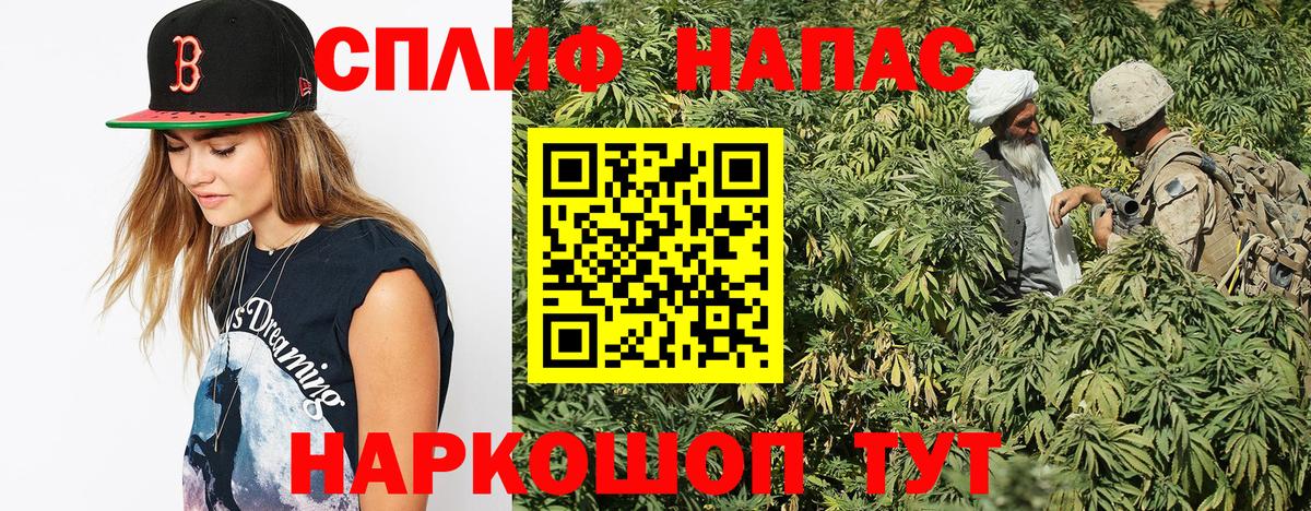 Марихуана конопля  Вход с VPN  Конопля MAZAR  Пугачёв  Бошки Шишки индика  Бошки марихуана семена 